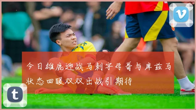 今日雄鹿迎战马刺字母哥与库兹马状态回暖双双出战引期待